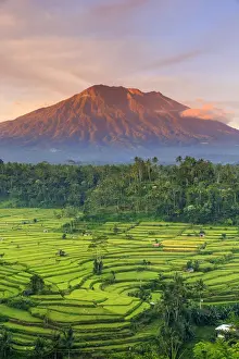 Volcano Prints: Indonesia, Bali, Redang, View of Rice Terraces and Gunung Agung Volcano