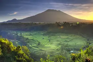 Agung Volcano Prints: Indonesia, Bali, Redang, View of Rice Terraces and Gunung Agung Volcano