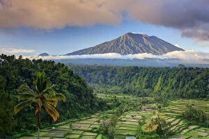 Indonesia, Bali, Rendang Rice Terraces and Gunung Agung Volcano