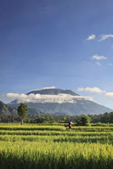Agung Mountain Gallery: Indonesia, Bali, Rice Terraces and Gunung Agung Volcano
