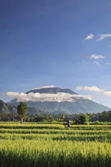 Agung Mountain Gallery: Indonesia, Bali, Rice Terraces and Gunung Agung Volcano