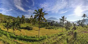 Agung Volcano Prints: Indonesia, Bali, Sidemen, Rice Fields and Gunung Agung Volcano