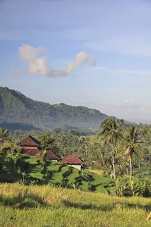 East Bali Prints: Indonesia, Bali, Sidemen Rice Terraces and Mountain Landscape