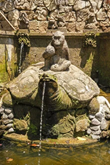 Images Dated 28th November 2019: Indonesia, Bali, tortoise fountain