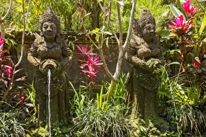 Basin Collection: Indonesia, Bali, Ubud, Fountain