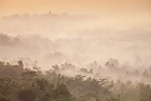 Java Prints: Indonesia, Java, Magelang, Mist hovering over Borobudur Temple at dawn