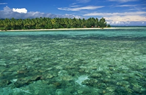 Deserted Collection: Indonesia, Sulawesi, Banggai Islands
