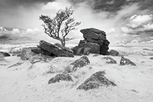 Infrared Prints: Infrared view of Emsworthy Rocks, Dartmoor National Park, Devon, England