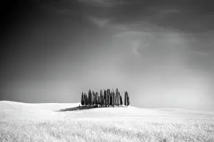 Val Dorcia Prints: Infrared view of famous clump of cypress trees