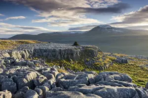 Yorkshire Dales Prints: Ingleborough mountain from the limestone pavements on Twistleton Scar End, Yorkshire