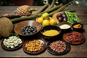 Ingredients Prints: Ingredients, Canopy Bridge, Napo Province, Ecuador
