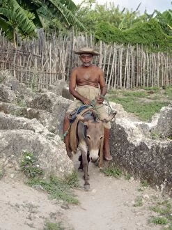 African Village Gallery: An inhabitant of Pate village rides his donkey through