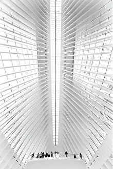 B And W Prints: Inside the Oculus, Manhattan, New York City, New York, USA
