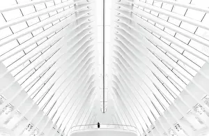 Insde Prints: Inside the Oculus, Manhattan, New York City, New York, USA