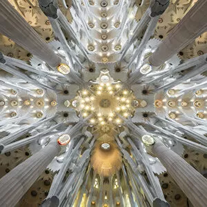 Interior of Sagrada Familia, Barcelona, Catalonia, Spain
