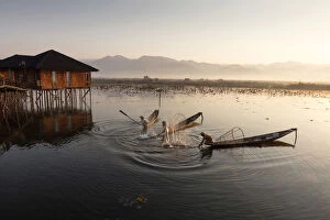 Paddle Gallery: Intha fisherman beat water, Inle Lake, Shan State, Myanmar