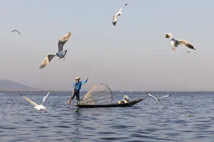 Images Dated 30th March 2017: Intha fisherman with gulls, Lake Inle, Shan State