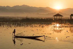 Tim Mannakee Prints: Intha fishermen row on Inle Lake, Shan State, Burma, Myanmar