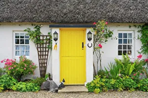 Ireland, Co. Clare, The Burren, Ballyvaughan, traditional thatched cottage, close-up