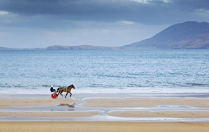 Ireland, Co. Donegal, Fanad, Ballymastoker bay, Man sitting on horse drawn sulky on beach