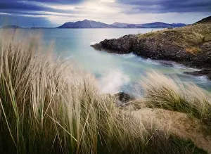 Ireland, Co. Donegal, Fanad, Ballymastoker bay and seagrass