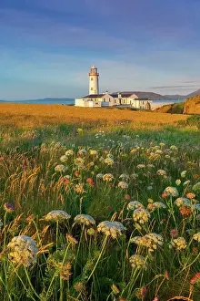 Ireland, Co. Donegal, Fanad, Fanad lighthouse and meadow of wild flowers