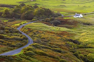 Codonegal Prints: Ireland, Co. Donegal, Fanad, House in rural setting