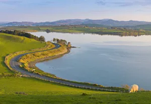 Ireland, Co. Donegal, Fanad, Mulroy bay, sheep in farmland