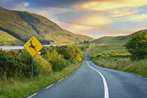 Ireland, Co. Donegal, Fintown, winding road through countryside with deer sign