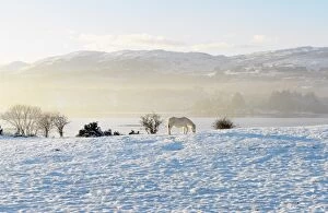 Images Dated 23rd December 2014: Ireland, Co. Donegal, Milford, snow covered landscape