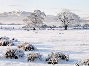 Images Dated 23rd December 2014: Ireland, Co. Donegal, Milford, snow covered landscape