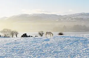 Codonegal Prints: Ireland, Co. Donegal, Milford, snow covered landscape