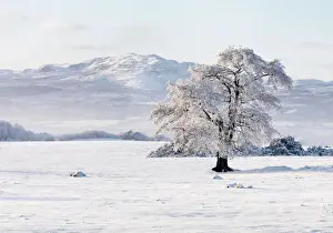 Codonegal Prints: Ireland, Co. Donegal, Milford, snow covered landscape