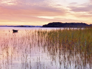 Connacht Prints: Ireland, Co. Mayo, Lough Conn at sunrise