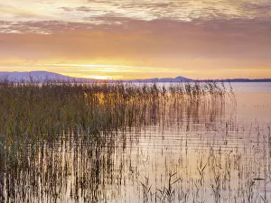 Connacht Prints: Ireland, Co. Mayo, Lough Conn at sunrise