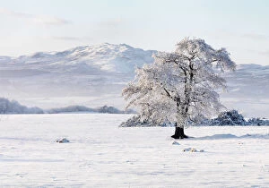 Ireland, Co.Donegal, Milford, snow covered landscape