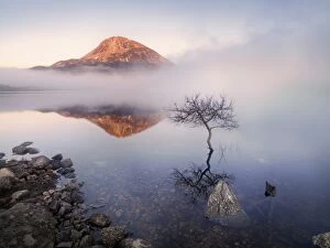 Images Dated 23rd January 2014: Ireland, Co.Donegal, Mount Errigal reflected in Lough Dunlewey