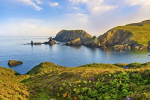 Images Dated 28th February 2022: Ireland, Co.Donegal, Port (An Port), Rocky coastline with ferns in foreground