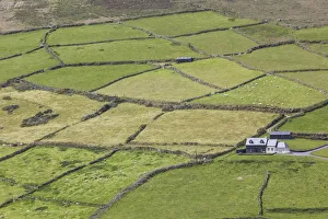 Ireland, County Cork, Beara Peninsula, Ring of Beara, Cahermore, landscape