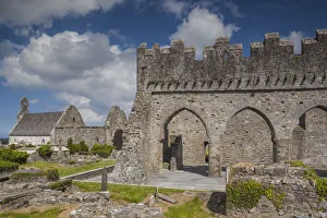 Ireland, County Kerry, Ardfert, Ardfert Cathedral, 13th century