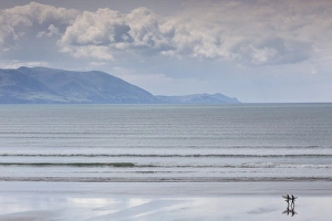 Images Dated 25th May 2016: Ireland, County Kerry, Dingle Peninsula, Inch Strand, beach
