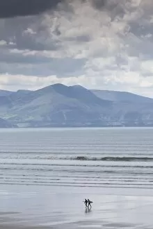 Ireland, County Kerry, Dingle Peninsula, Inch Strand, beach