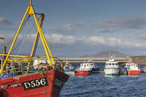 Portmagee Prints: Ireland, County Kerry, Ring of Kerry, Portmagee, fishing boats