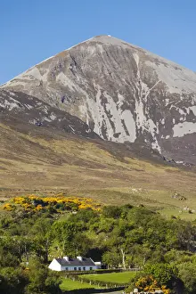 Ireland, County Mayo, Murrisk, view of Croagh Patrick Holy Mountain
