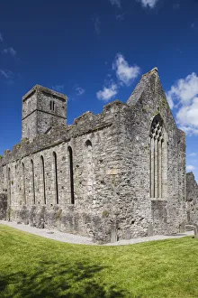 Images Dated 5th October 2016: Ireland, County Sligo, Sligo, Sligo Abbey, 15th century