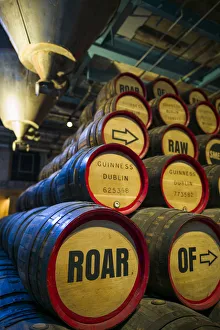 Guinness Prints: Ireland, Dublin, Guiness Storehouse, brewery museum, beer kegs