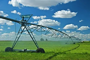 Irrigation Prints: irrigation of agricultural land Seven Persons, Alberta, Canada