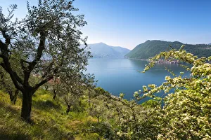 Iseo lake, Brescia province, Lombardy district, Italy, Europe Iseo lake, Brescia province, Lombardy district, Italy, Europe