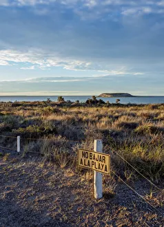 Argentinean Prints: Isla de los Pajaros, Valdes Peninsula, UNESCO World Heritage Site, Chubut Province