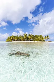Pacific Gallery: Island in the blue lagoon of Rangiroa atoll, French Polynesia